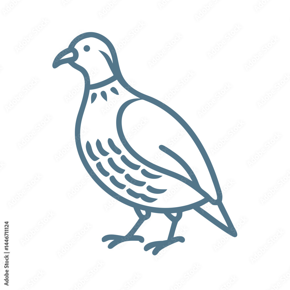 Fototapeta premium Simple Quail Illustration, Line Art Vector