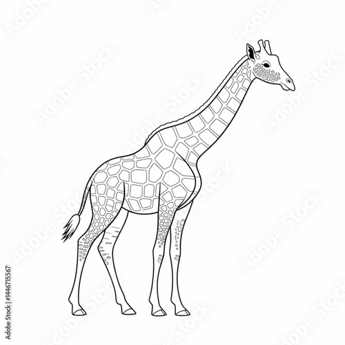 ‎A black and white giraffe line art of a coloring page white background