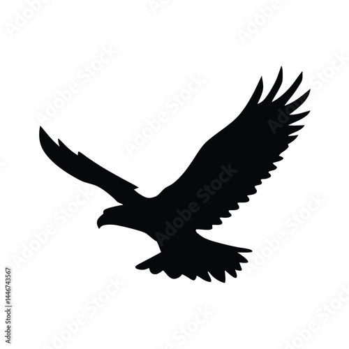 Silhouette of an eagle flying with spread wings on a white background