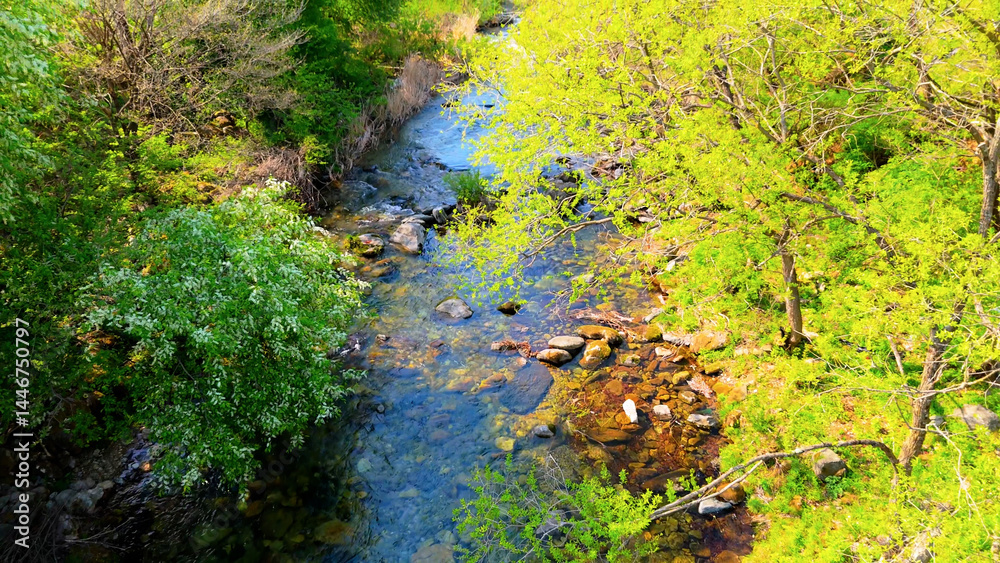 A view of a valley in early summer colored with green light. A beautiful natural view of Sillim, Gangwon Province, Korea's attraction, taken with a drone in the sky. A trip to Gangwon Province A view of a valley in early summer colored with green light. A beautiful natural view of Sillim, Gangwon Province, Korea's attraction, taken with a drone in the sky. A trip to Gangwon Province