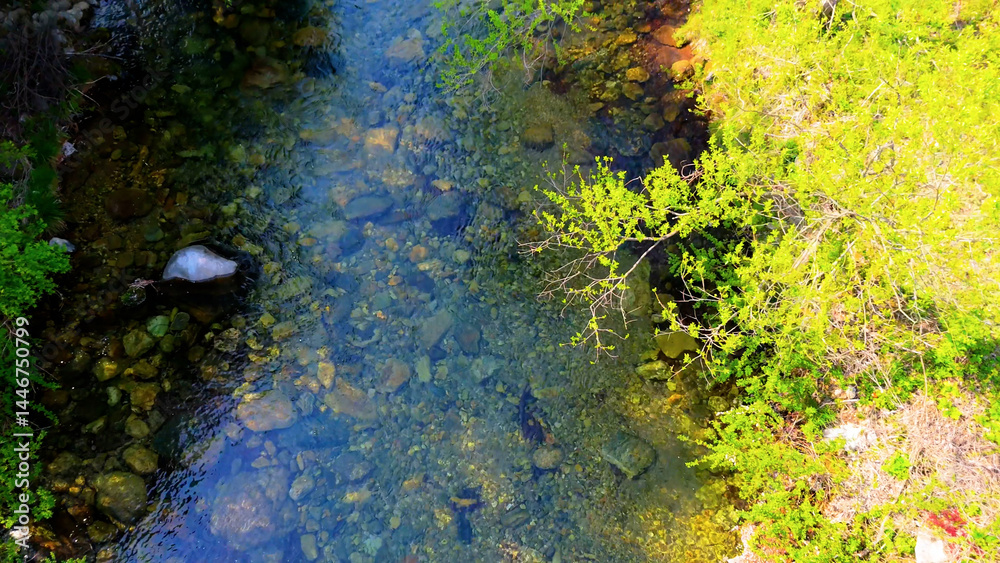 A view of a valley in early summer colored with green light. A beautiful natural view of Sillim, Gangwon Province, Korea's attraction, taken with a drone in the sky. A trip to Gangwon Province A view of a valley in early summer colored with green light. A beautiful natural view of Sillim, Gangwon Province, Korea's attraction, taken with a drone in the sky. A trip to Gangwon Province