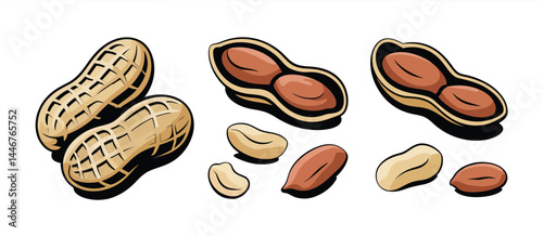 Cartoon Peanuts in Shells and Shelled Peanuts Illustration