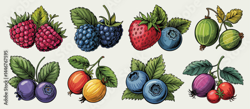 Collection of Fresh Berries Hand Drawn Illustration