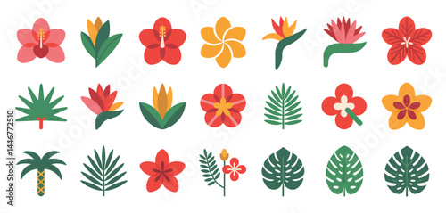Collection of Tropical Flowers and Leaves Illustrations