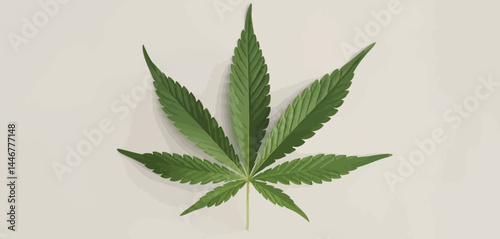 Single Cannabis Leaf on Light Beige Background