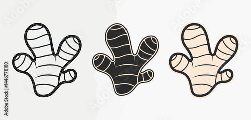 Ginger Root Illustrations Line Art Black and Beige