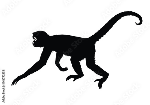 Spider monkey silhouette. This image shows a black silhouette of a spider monkey with a long tail and extended limbs, resembling a primate in motion. Vector clipart illustration design.