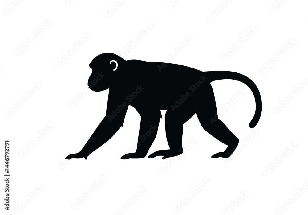 Fototapeta premium Monkey silhouette. This image shows a black silhouette of a monkey in a walking posture, highlighting its tail, legs, arms, head, and ears. Vector clipart illustration design.