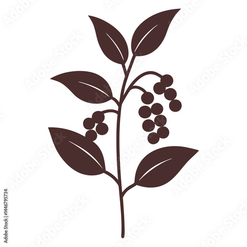 Black Pepper Plant Vector Illustration