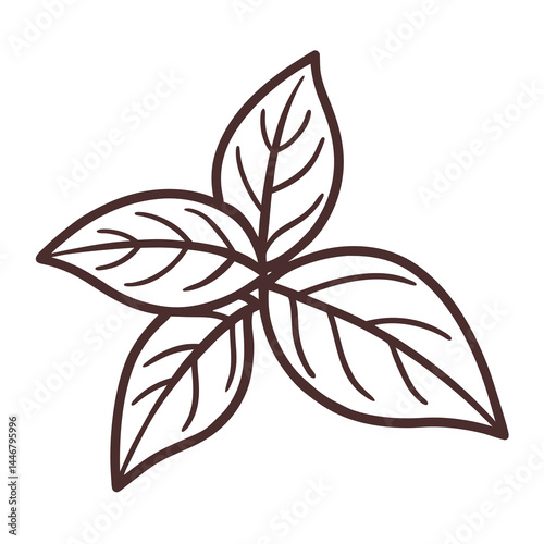 Basil Leaves Outline Illustration, Herb Icon