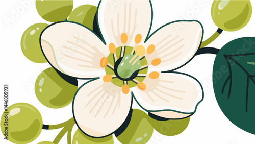 Jade grape flower pattern, flower vector pattern surrounds the border.