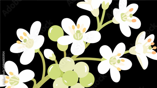 Jade grape flower pattern, flower vector pattern surrounds the border.