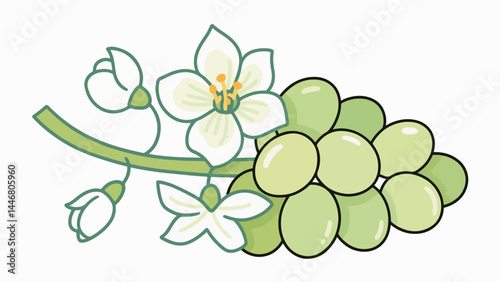 Jade grape flower pattern, flower vector pattern surrounds the border.