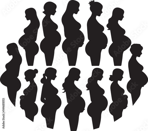 Pregnancy Evolution Silhouette – Diverse Baby Bump Stages of Women