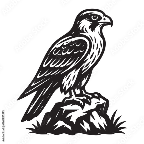 Falcon perched on rocky outcrop vector illustration