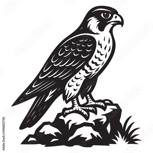 Falcon perched on rocky outcrop vector illustration