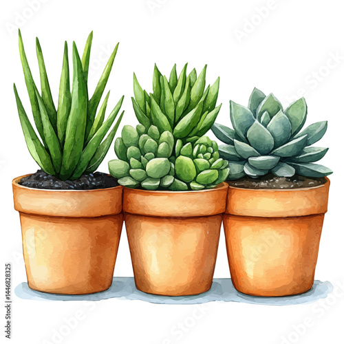 Set Of Mini Pots With Succulents, watercolor vector, isolated on a white background.