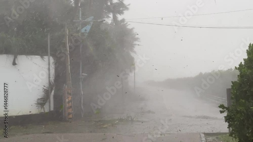 Hurricane Eyewall Chaotic Wind Swirling Rain And Leaves - Haikui