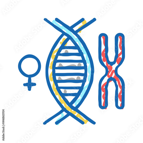 female chromosome genetic icon doodle illustration