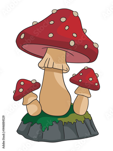 Colorful mushroom illustration featuring detailed caps and stems, ideal for botanical designs, nature-themed prints, fairy tale art, or educational materials.