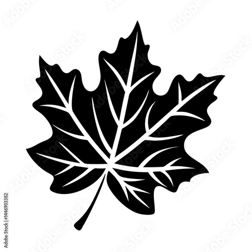 Stylized black maple leaf with prominent veins, isolated against a white backdrop