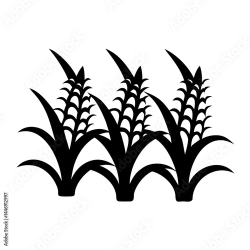 Silhouette of three corn plants forming a field of grain and crops