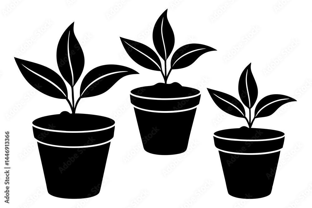 plant in pot silhouette vector, plant in pot silhouette vector,
