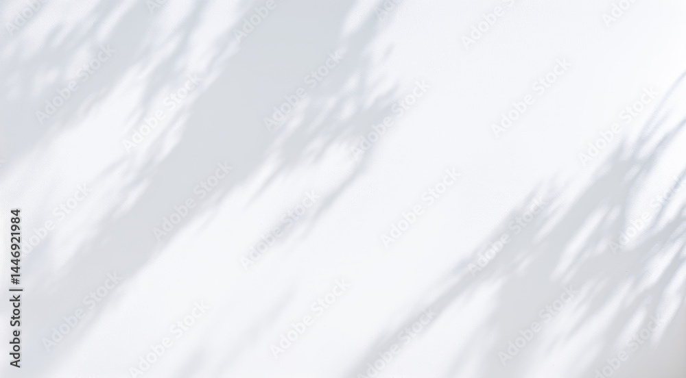 Shadows of leaves or branches projected on a white wall or surface. Modern and simple daytime look with simple elegant style. Shadows of leaves or branches projected on a white wall or surface. Modern and simple daytime look with simple elegant style.