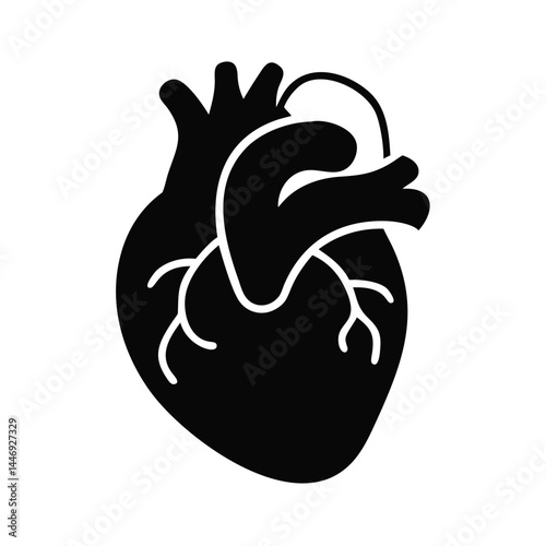 Simplified vector illustration of the human heart anatomy in black silhouette