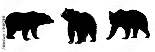 Bear Silhouette Set with Standing, Walking, and Side View Poses