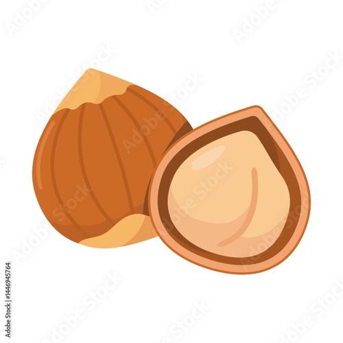 Macadamia nut vector for vegan and health food.