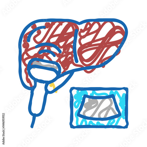 ultrasound liver icon doodle illustration