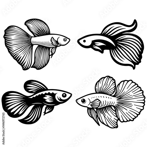 Guppy Fish Sketch Illustration.