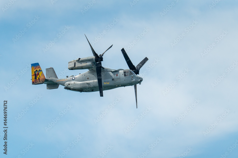 Fototapeta premium Osprey flying through the sky