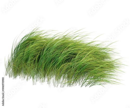 Graceful green grass blowing in the wind nature scene isolated on transparent background