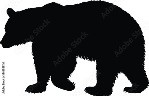 bear silhouette vector illustration 