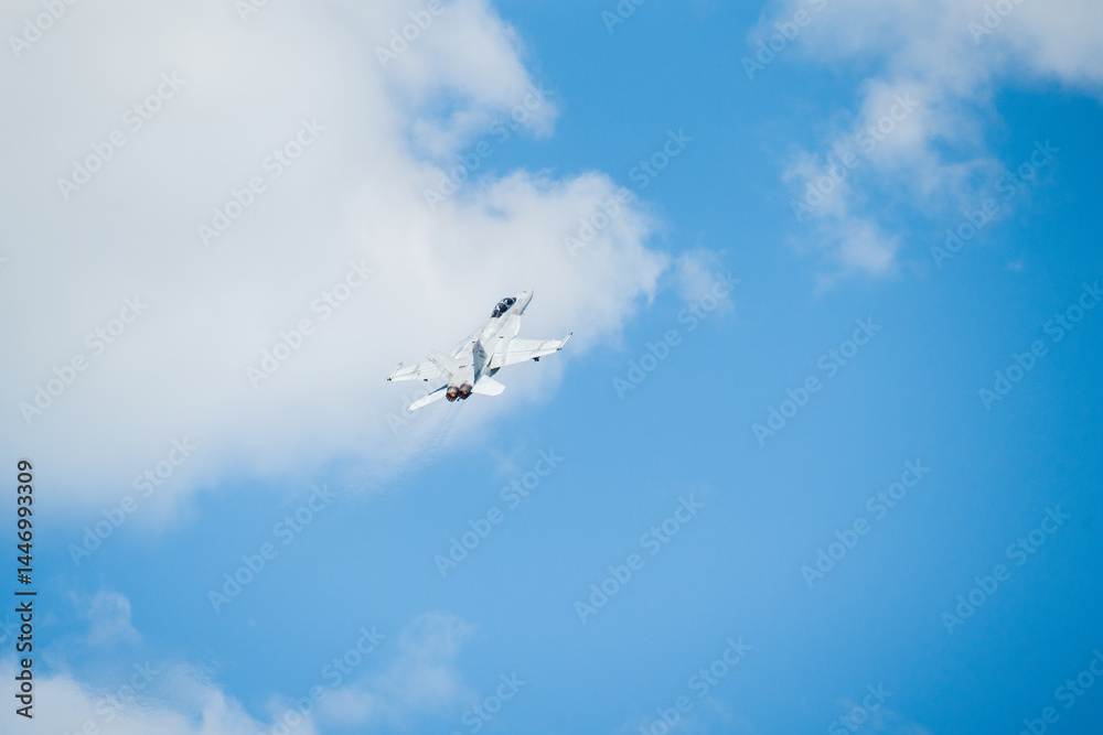 Fototapeta premium F18 Super Hornet performing maneuvers in the sky