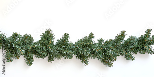 Green pine tree branches, isolated fir twigs perfect for xmas holiday decoration