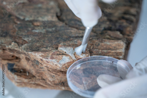 In the laboratory, research equipment rests on the table as scientists analyze rock samples, using advanced geology techniques to make groundbreaking discoveries in science.