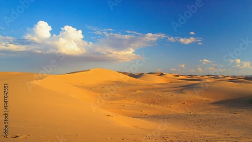 A desert landscape with a cloudy sky in the background. The sky is blue and the sun is shining