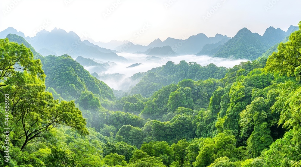 Fototapeta premium Verdant Forest and Mountain View