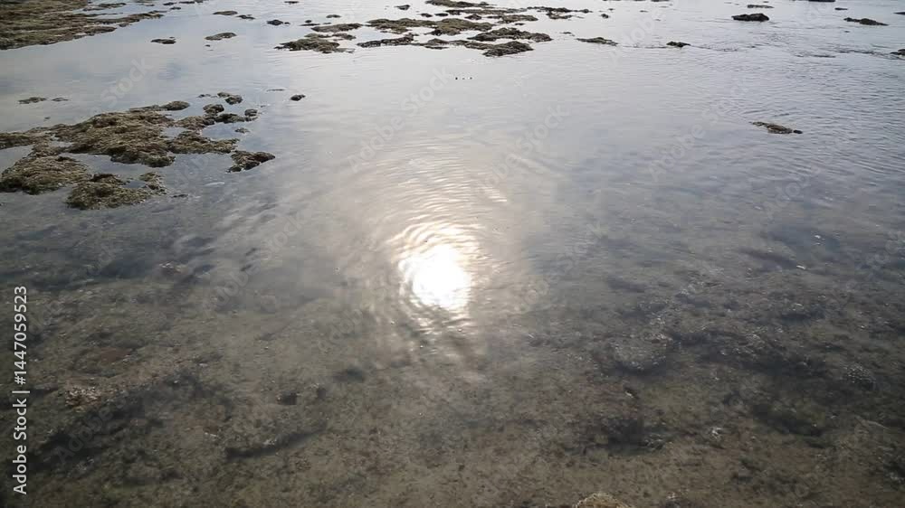 奄美大島の自然。海、空、光、反射