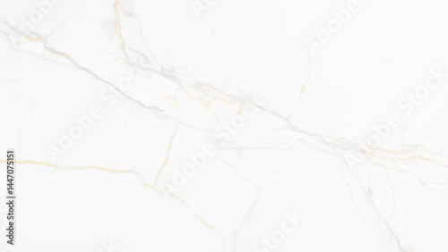 Elegant White Marble Texture. A high-resolution image of a pristine white marble background