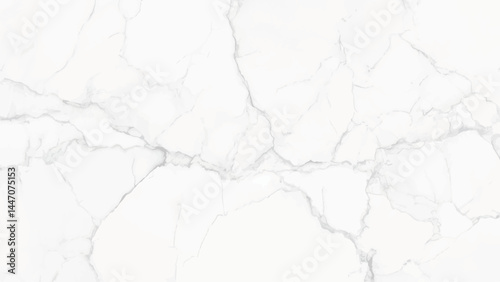 Elegant White Marble Texture. A high-resolution image of a pristine white marble background