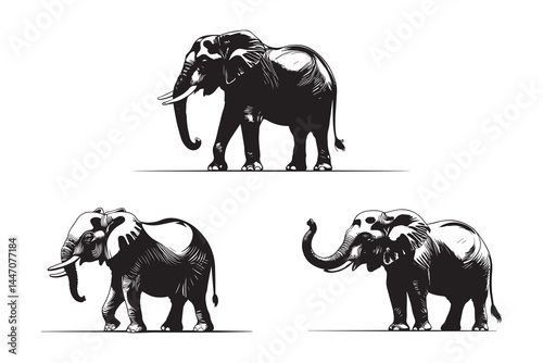 A collection of stylized black silhouettes of elephants in various walking poses.