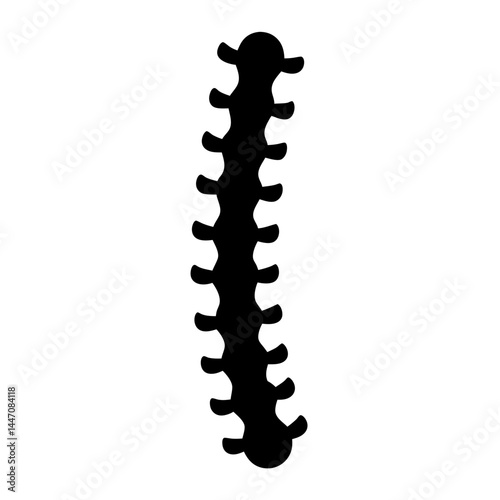 Detailed anatomical representation of a spinal column with a black silhouette