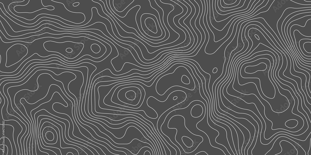 Fototapeta premium Topographic map background concept. Topo contour map. Rendering abstract illustration. Vector abstract illustration. Geography concept. paper texture design. Limited of a geographical map