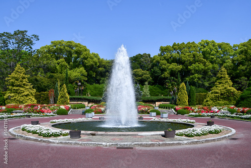 京都府立植物園　噴水　春
