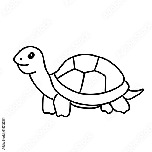 illustration of a tortoise sketch on a white background