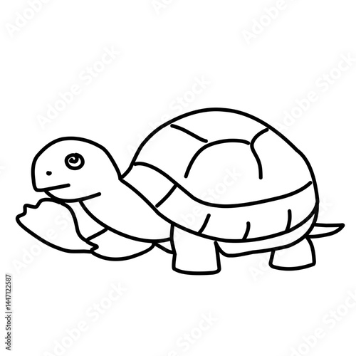 illustration of a tortoise sketch on a white background